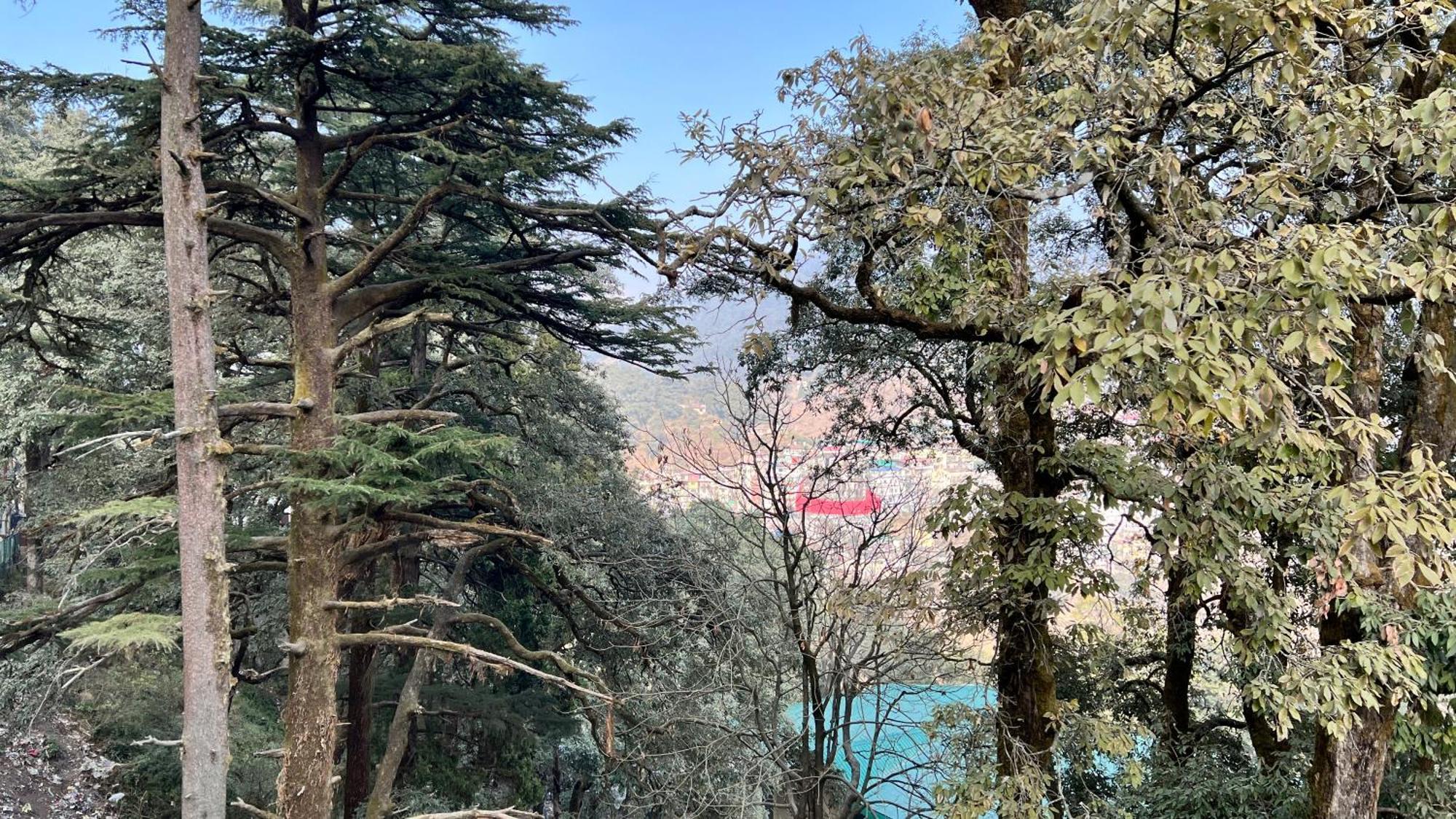 Hotel Pride Inn - 800 Mts From Mall Road Mussoorie Eksteriør bilde