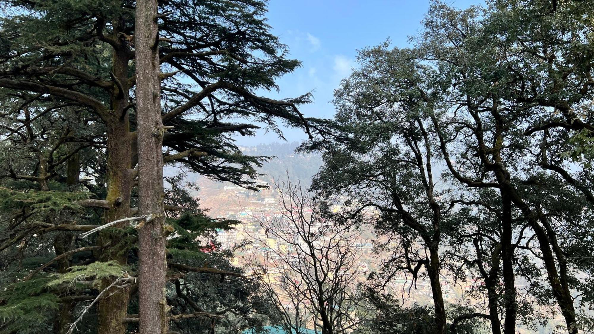 Hotel Pride Inn - 800 Mts From Mall Road Mussoorie Eksteriør bilde